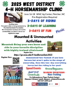 Cover photo for 2025 West District 4-H Horsemanship Clinic